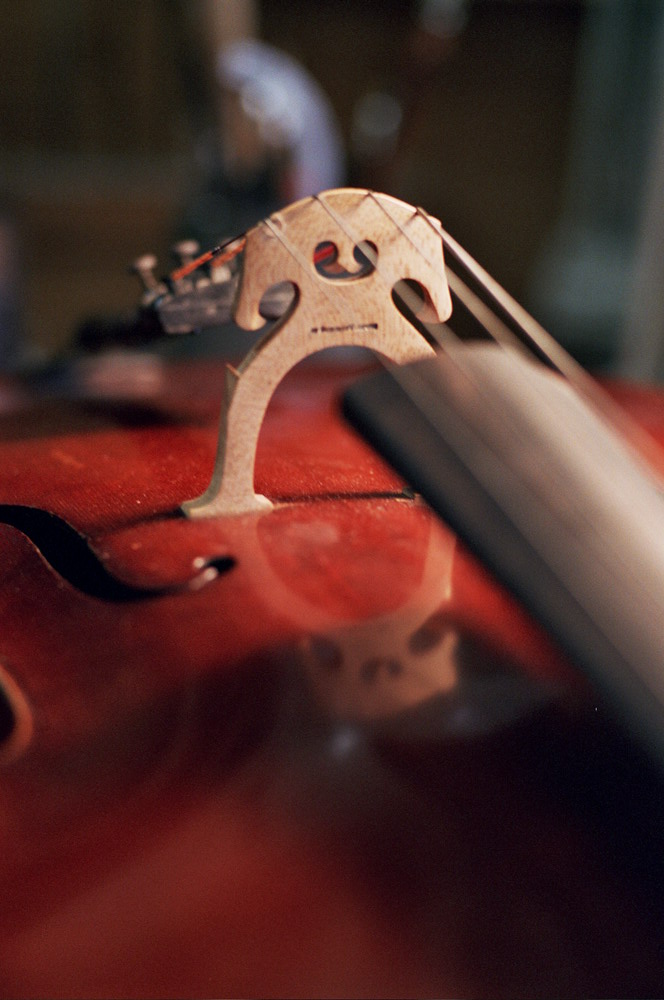 Voici le CHEVALET d'un violon